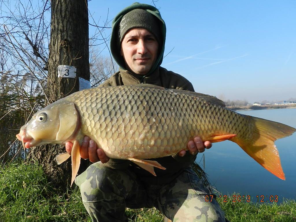 iarna cu carpfishing - dscn1843.JPG